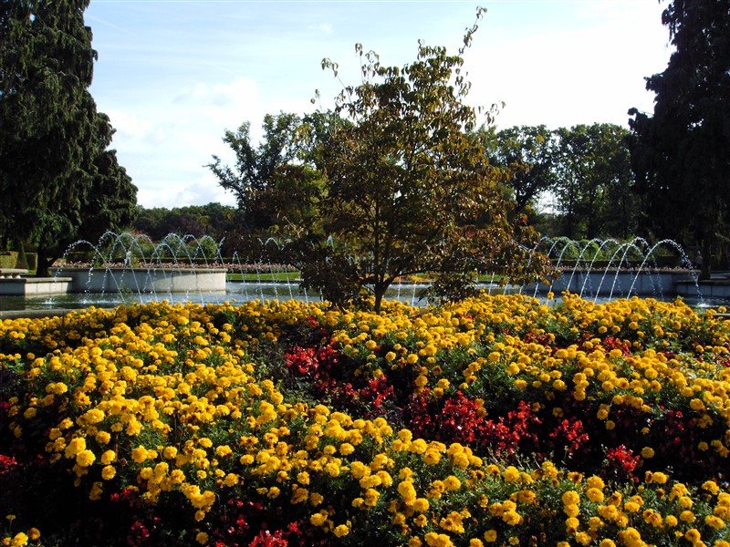 inoktoberisernoggenoegbloemenpracht.jpg