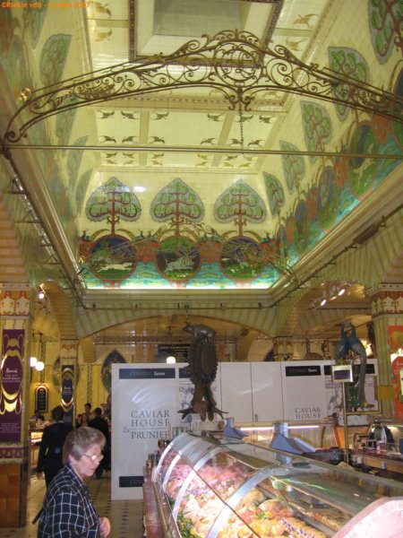 geenverlaagdplafondvantriplexishiertevindenallesademtrijkdom.jpg